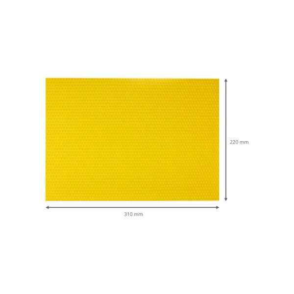 Mittelwände kg Kuntzsch 220 mm x 310 mm