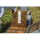 Calistrip® Biox 6,44g Oxalsäurestreifen